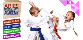 Aries Martial Arts