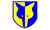 Fox College of Business