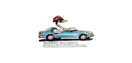 Snowbird Accidents