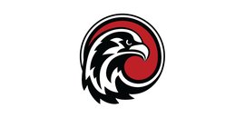 FALCON WD WINDOWS AND DOORS